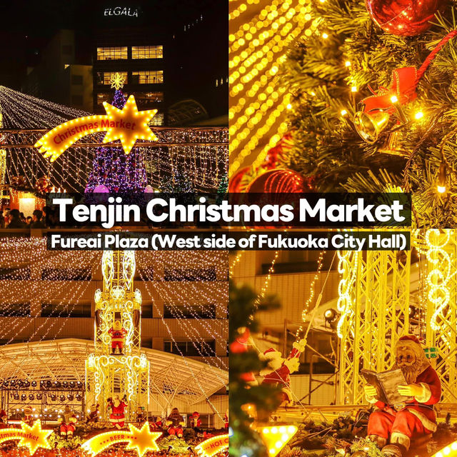 Fukuoka Christmas Market  & Illumination 2024🎄✨