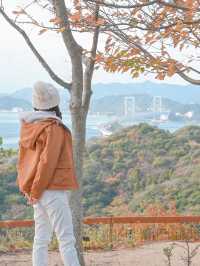 【淡路島】玉ねぎ愛におっタマげ〜