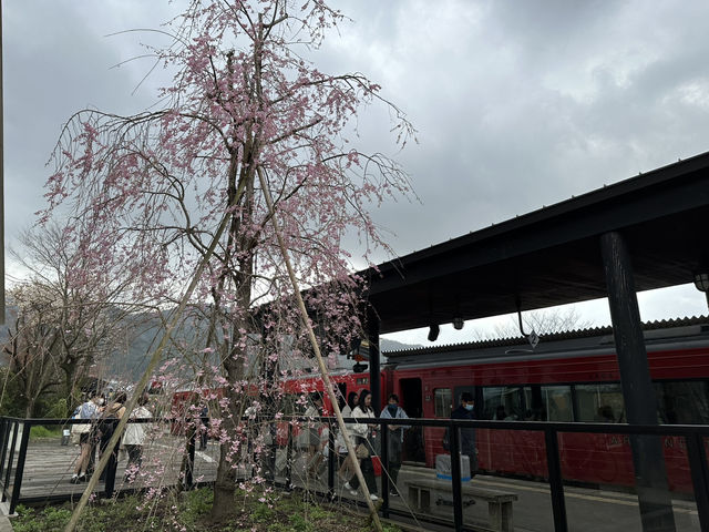 由布院是感受寧靜和傳統日本的首選🥹🌸