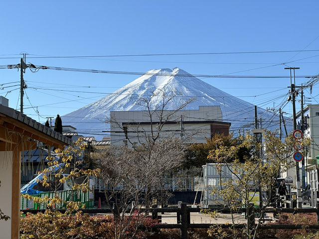 You can see Mt Fuji in December everyday till you get bored 👀