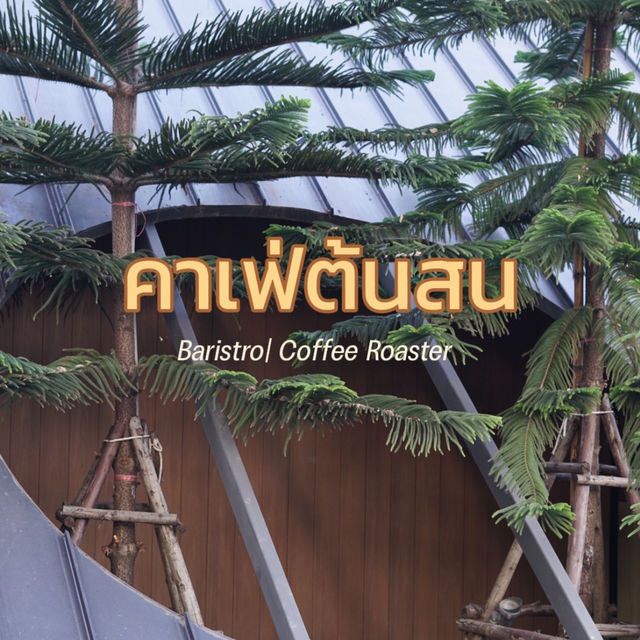 🌲คาเฟ่ต้นสน “The Baristro Coffee Roaster" 