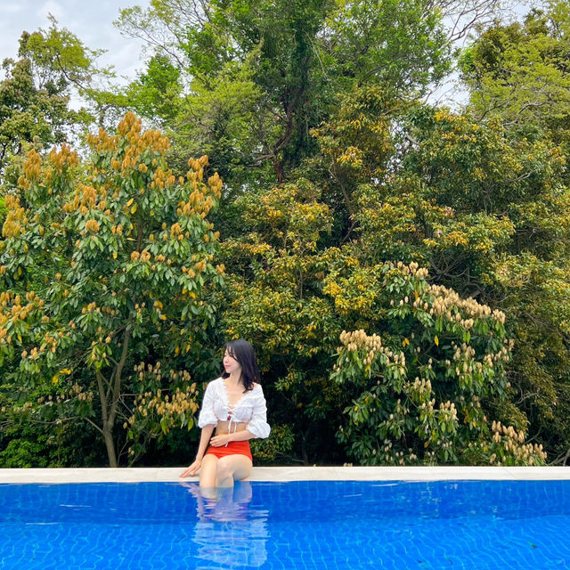 인피니트풀이 너무 예쁜 제주도 호텔 머큐어 앰배서더 🌿
