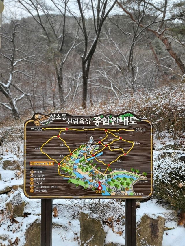 눈썰매장도 개장한 대전 겨울여행지