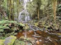 Franklin-Gordon Wild Rivers National Park