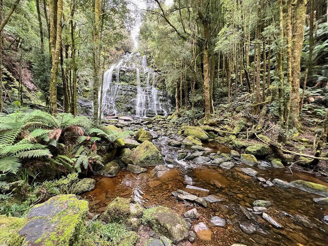 Franklin-Gordon Wild Rivers National Park