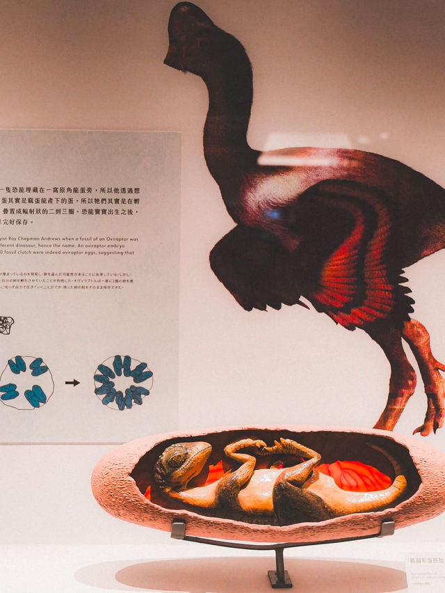 台灣博物館｜穿越時光！帶你探索古生物的神秘世界！