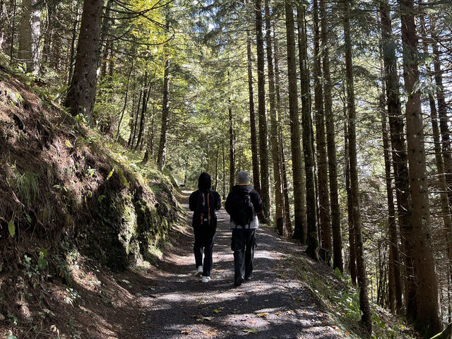Hiking Around Lake Lucerne: A Journey Through Swiss Serenity