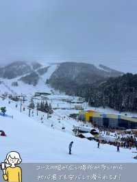 【最高のゲレンデ】西日本最大級のスキー場 ダイナランド