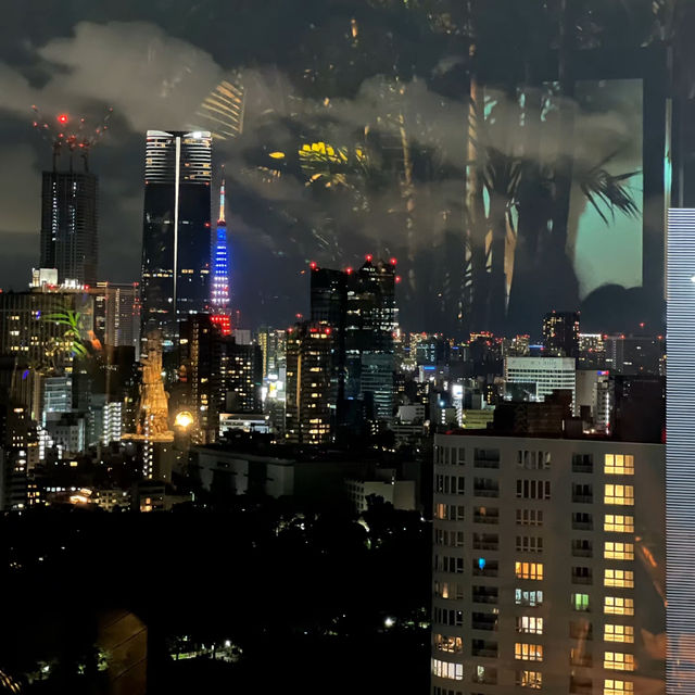 入夜後的東京浪漫熱點 ✨ ( 3 )