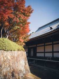 🍁✨ 秋の光明寺で紅葉のトンネルを体感しよう ✨🍁