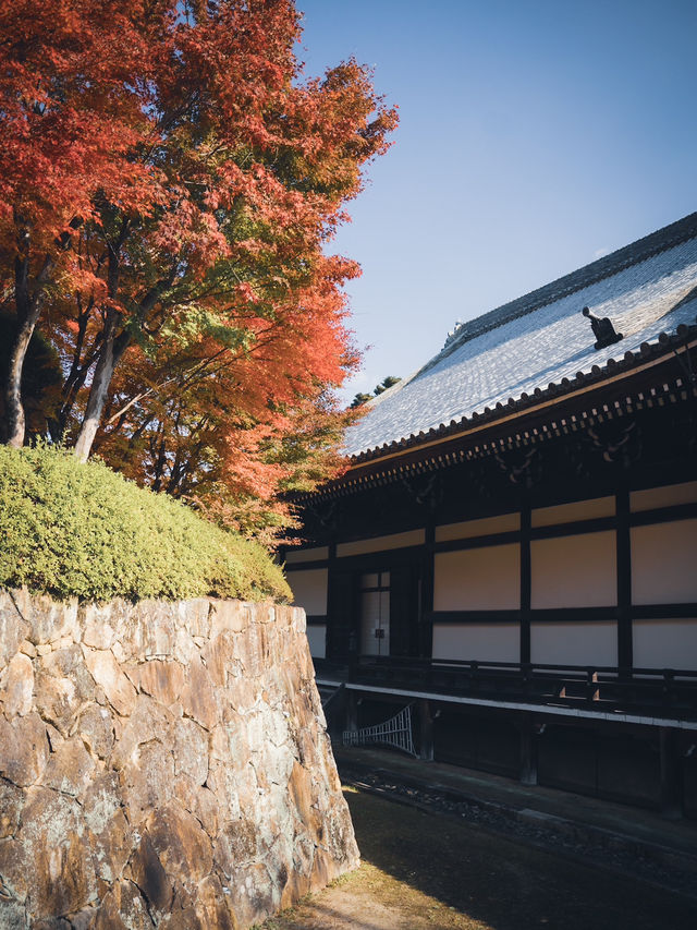🍁✨ 秋の光明寺で紅葉のトンネルを体感しよう ✨🍁