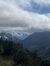 太平山森林園區 吸收芬多精