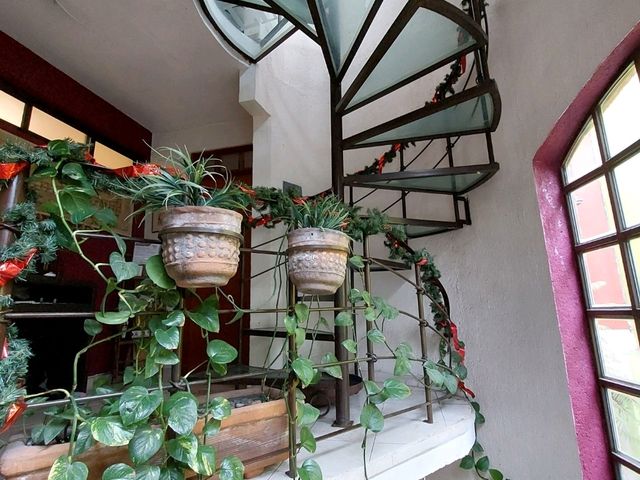墨西哥城酒店分享 Coyoacan