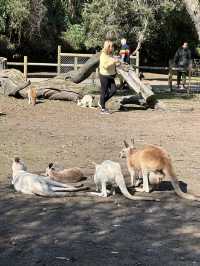 Must-visit places in Caversham Wildlife Park