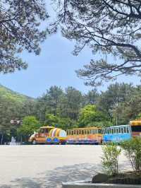 부산 태종대 나들이 떠나보실까요?