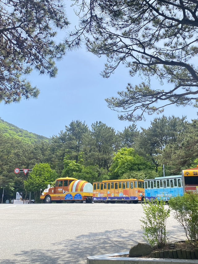 부산 태종대 나들이 떠나보실까요?