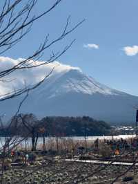 Oishi Park: Stunning Views of Mount Fuji Unobstructed