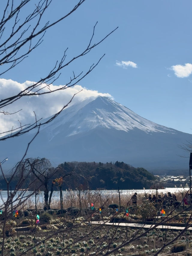 Oishi Park: Stunning Views of Mount Fuji Unobstructed