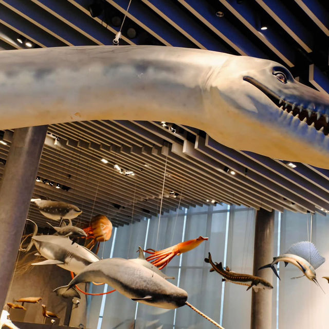 Natural History Museum - Shanghai