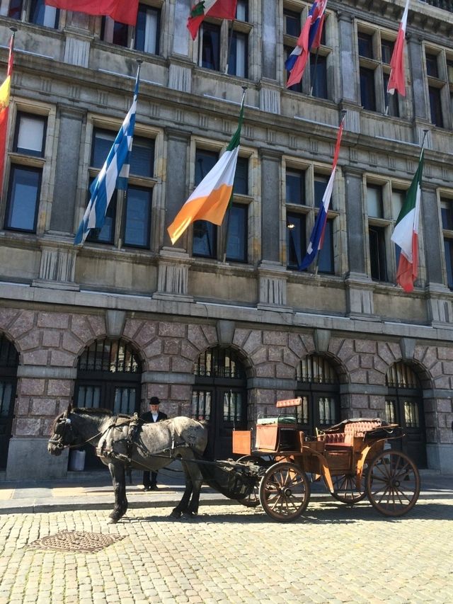 ベルギー🇧🇪アントワープ　乗馬もできる🐴マルクト広場