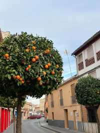 【スペイン🇪🇸セテニル】
