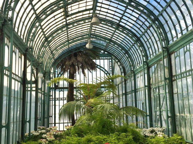 The Royal Greenhouses of Laeken