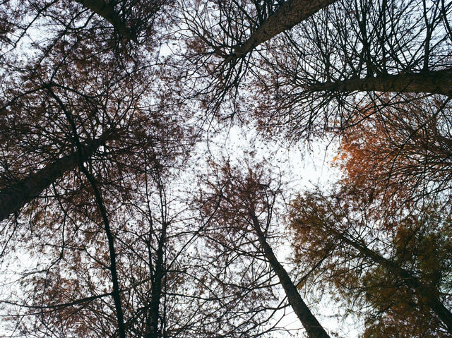 Xianhu Botanical Park — Fairytale Views at the Fairy Lake