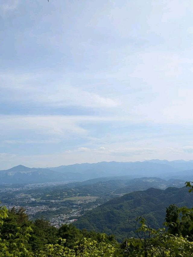 【埼玉】宝登山〜自然と歴史を楽しむハイキング〜