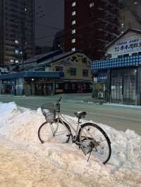 Sapporo: A City of Snow, Culture, and Amazing Food