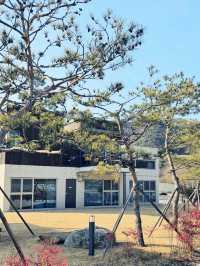 화이트톤의 로맨틱 전라도 무주 감성 숙소 추천
