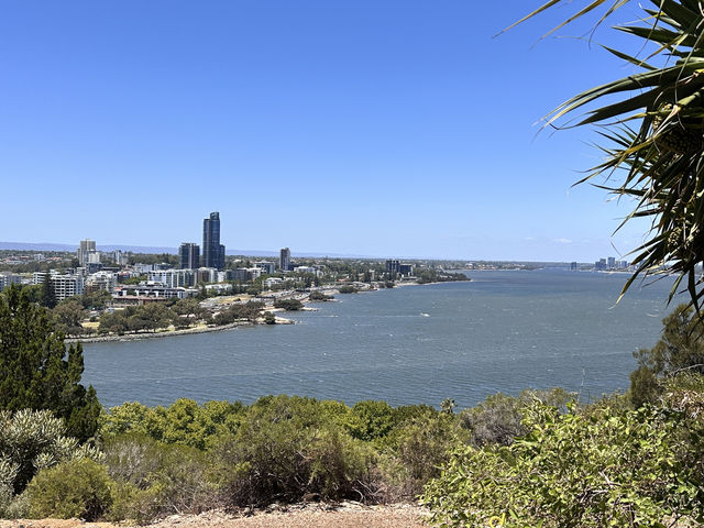 Kings Park
