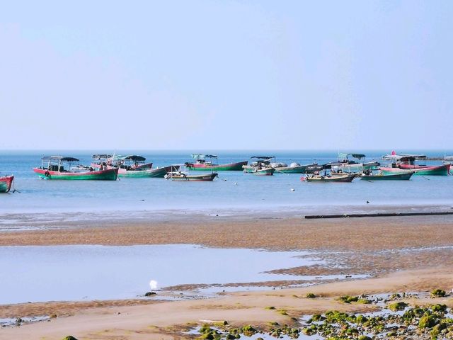 放坡村浪漫趕海
