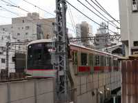 Nakameguro: Tokyo’s Riverside Gem of Culture and Charm