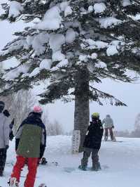 ⛷️ 赤倉溫泉滑雪之旅｜自駕遊妙高高原 & 野澤溫泉