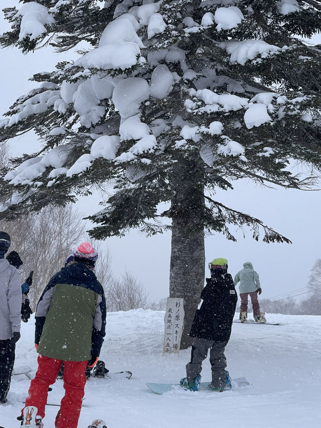 ⛷️ 赤倉溫泉滑雪之旅｜自駕遊妙高高原 & 野澤溫泉