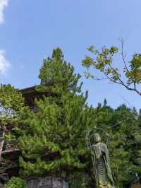 【徳島県/勝浦町】お遍路のお寺で出会った特別な体験