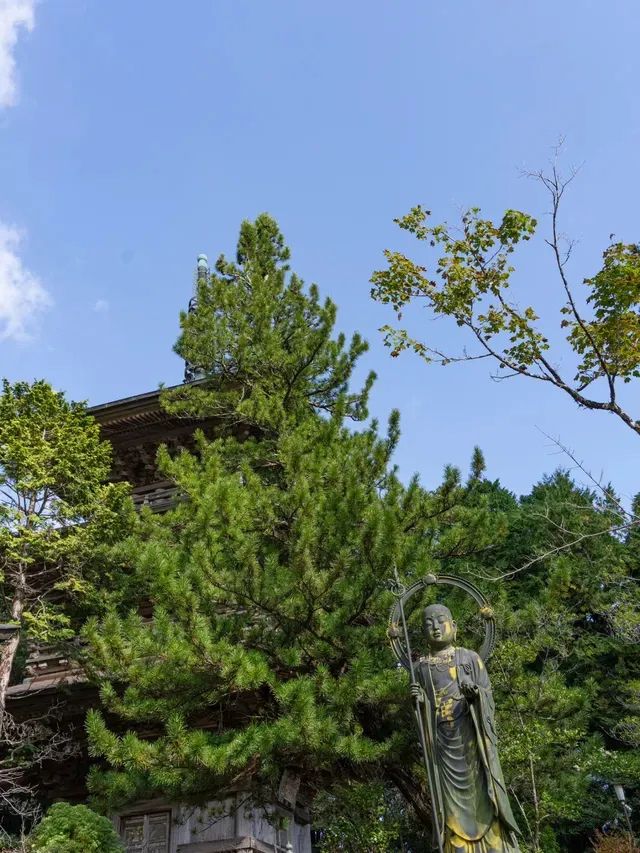 【徳島県/勝浦町】お遍路のお寺で出会った特別な体験