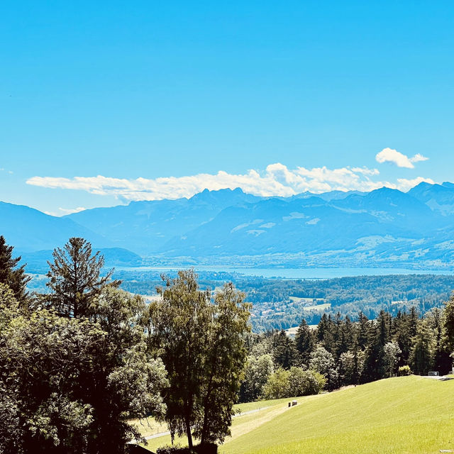 Celebrating A Summer Birthday in Zurich: Nature, Nostalgia, and New Adventures 🎂🌄