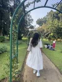 Royal botanical garden, Sri Lanka