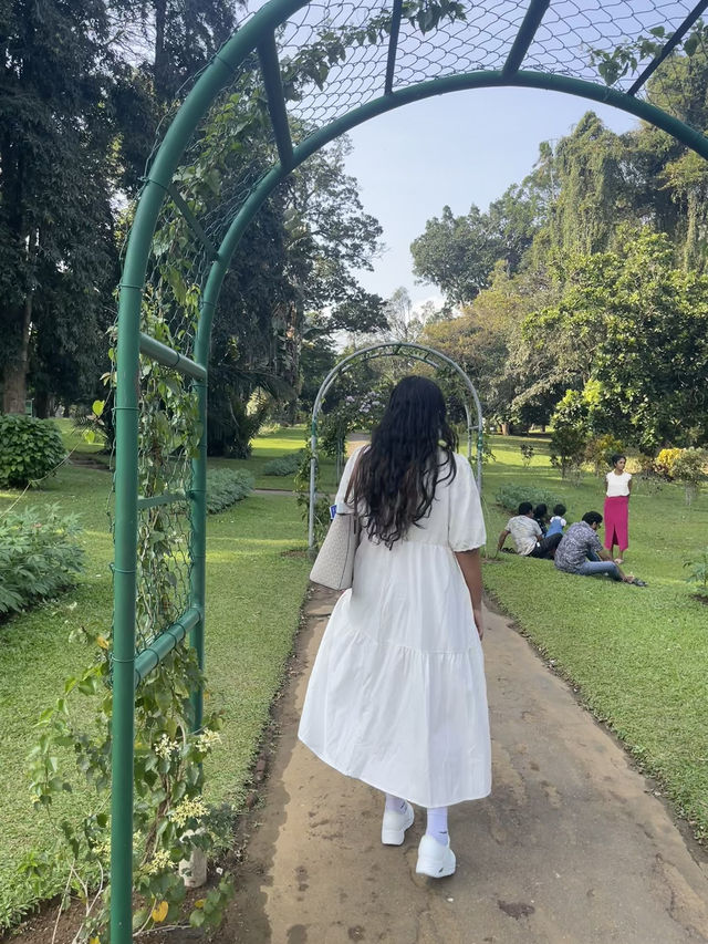 Royal botanical garden, Sri Lanka