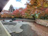 京都東福寺賞楓之旅：紅葉滿山，禪意悠然