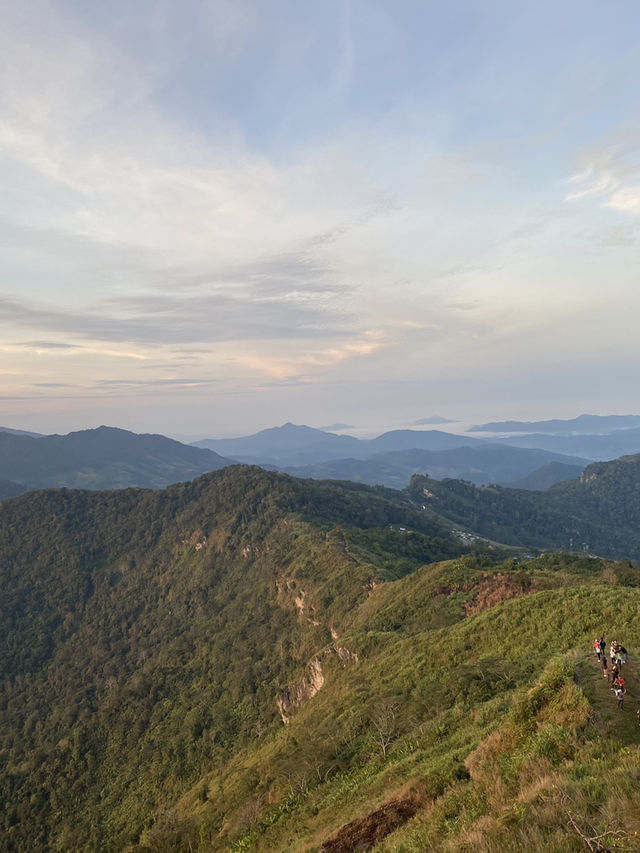 ภูชี้ฟ้า | เชียงราย ⛰️☀️🌳☁️