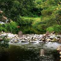 คาเฟ่สายแคมป์ปิ้งที่เขาใหญ่