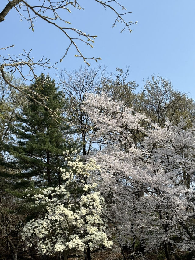 부여 공원