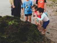 新北｜淺水灣，孩子們的海洋探索樂園！