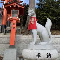 可以求財跟餵烏骨雞的高屋敷稻荷神社😂