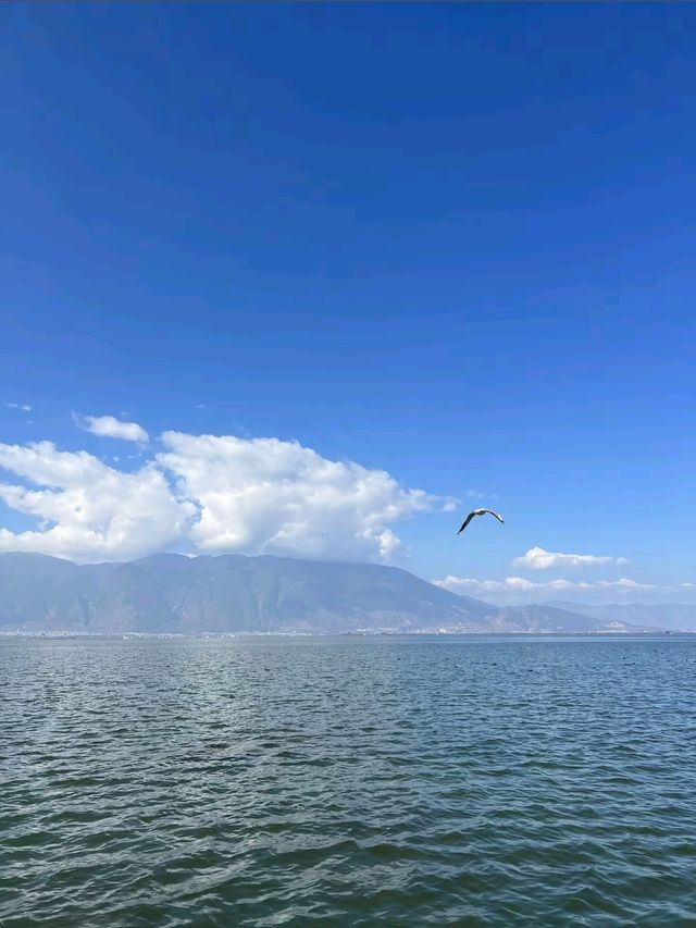 大理‐山水人民風光都好優美的地方🏞，打卡超出片📸🤍