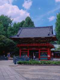 景點推薦：根津神社——東京近郊的千本鳥居與百年古韻