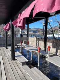 Honeymoon trip in Yufuin