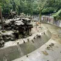 廣州動物園-市中心的動物世界